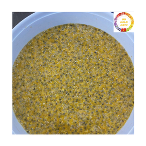 Purée de fruit de la passion surgelée IQF du Vietnam avec graines, arôme frais, couleur dorée naturelle, idéale pour les smoothies, les desserts, commandes d'exportation - Product Image 2