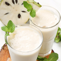 Fijnste 100% verse zuurzak/guanabana puree, suikervrij, bulkverpakking, KIM MINH INTERNATIONAL Vietnam (20kg), 12 Brix, niet-gesteriliseerd