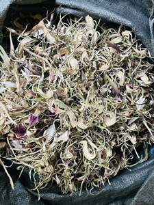 Fleur d'artichaut séchée du Vietnam pour une utilisation culinaire dans les ragoûts et les soupes, offrant une saveur authentique d'herbes tropicales aux repas - Product Image 4