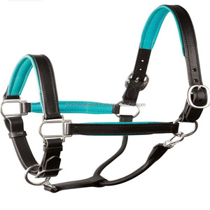 Licou de cheval en cuir véritable noir avec doublure douce et colorée cousue et licou en acier inoxydable, fourniture d'usine en gros - Product Image 4