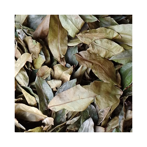 Hojas de Graviola secas Favor Tea Té de hierbas para la rutina de relajación diaria Promueve la facilidad mental, desintoxicación suave - Product Image 2