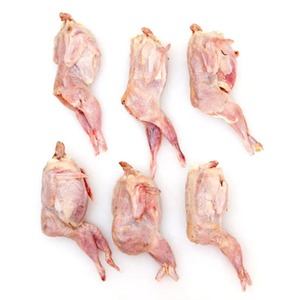 Carne fresca de codornices congelada Piernas enteras limpias con hueso certificado Halal - Product Image 6