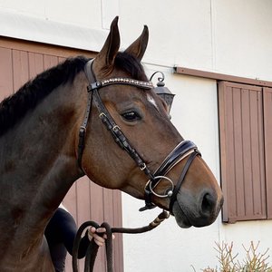 Ienna-patente de nafla rown con tubo ronze, equipo de ropa de caballo deportiva utdoor, cabezal Ecuestre para reducción de peso - Product Image 2