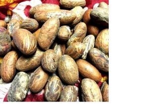 Nueces de Kola Negra Blanqueada a Granel - Grado Superior, 12 Meses de Vida Útil, Origen Alemania, Listas para Envío, Tamaño y Calidad Consistentes - Product Image 2