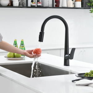 Grifo de <span class=keywords><strong>cocina</strong></span> moderno de un solo orificio de latón negro mate, grifo extraíble <span class=keywords><strong>Gourmet</strong></span>, grifo mezclador Flexible para baño, <span class=keywords><strong>cocina</strong></span> para hoteles - Product Image 2