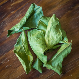 ใบมะกรูดสดแห้งจากเวียดนาม - Product Image 3