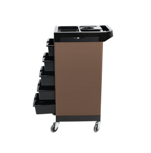पेशेवर सैलून ट्रॉली पहियों हेयरड्रेसिंग ब्यूटी सैलून उपकरण - Product Image 4