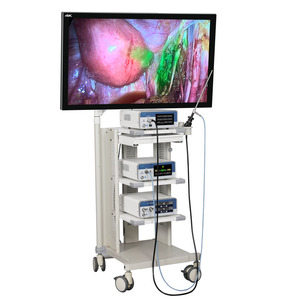 Cámara médica de laparoscopio TUYOU 4K UHD con fuente de energía eléctrica con imágenes de fluorescencia ICG para cirugía - Product Image 1