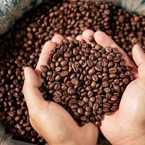 Natural Coffee beans with Wholesale Arabica Green Coffee Beans