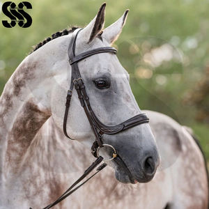 Brida de cuero de alta calidad con diseño ergonómico y costuras elegantes, nueva tendencia, de buen proveedor, con narigueña acolchada y ajuste regulable para entrenamiento. - Product Image 3