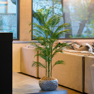 Wholesale Luxury Mini Office Tree Realistic Artificial Plant <b>Wall</b> <b>Ornament</b> <b>for</b> <b>Garden</b> Decoration - Product Image 6