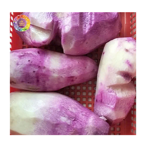 Taro Congelado IQF en Empaque Personalizado al por Mayor, Delicioso Taro Morado Pelado, Ñame Morado Congelado IQF y Ñame Blanco Congelado para Cocinar - Product Image 5