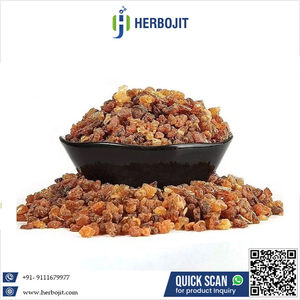 กุกกัล (Commiphora Mukul) คุณภาพสูง 100% ธรรมชาติ แห้ง ดิบ เกรด A ราคาถูก - Product Image 6
