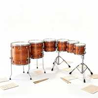 High Quality Poplar Wood Tom Drum Set 10 12 13 14 16 18 Inch with 28 Tube Electroplated Bracket Professional Percussion DFZ-H