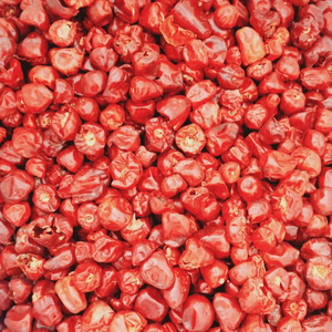 Premium Mundu Chili-Chiles rojos secos enteros, orgánicos, seleccionados a mano, 100% naturales, especias indias disponibles a granel 25kg/50kg - Product Image 2