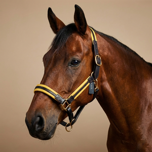 Harnais de cheval en cuir indien de qualité supérieure, rembourrage jaune doux, nezier rembourré, couronne réglable, quincaillerie en laiton, personnalisable, confortable - Product Image 2
