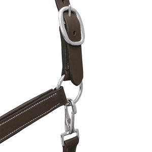 ตัวอย่างฟรีมาใหม่ขี่ม้าขี่ที่กําหนดเองขี่หนังม้าเชือกแขวนคอตะวันตกความปลอดภัยส่วนบุคคลปลอกคอหัวม้า - Product Image 3