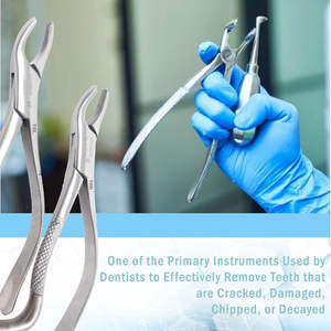 Fórceps de Extracción Dental Manual de Acero Inoxidable Alemán, Universal para Raíz de Incisor Inferior, Certificado CE MOL, Agarre Ergonómico - Product Image 2