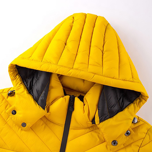 2026 Premium Fashionable Best Quality Custom Windproof Winter Embroidery Logo Zipper Canvas <b>Thin</b> Hooded <b>Puffer</b> <b>Jacket</b> for Men - Product Image 2