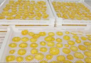 GEMME MEILLEUR PRIX Blue Lotus 2025 Ananas Séché Croustillant Goût Sucré Exotique Source de Fibres Renforce la Force et l'Énergie du Corps - Product Image 3