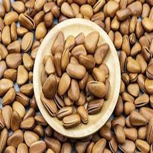 Premium Grade Pine Nuts for Shipping at Affordable Price - Product Image 5
