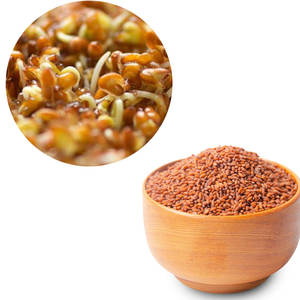 Berro | Ideal para guarnición de Alimentos | Fresco y vibrante - Product Image 2