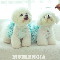 Robe de fête pour chien, vêtements pour chien, collier pour chat, vêtements coréens pour animaux de compagnie, polyester, été, accessoires populaires pour chien