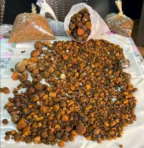 3G NATURE NIU HUANG HERB MEDICINA GANADO BUEY VACA GALLIAS BEZOAR HIERBA - Product Image 3