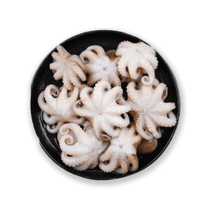 Pulpo Bebé Congelado al por Mayor, Alta Calidad - Product Image 6