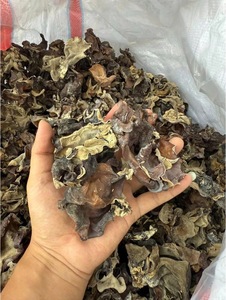 Hongo negro de seta de oreja de madera seca Premium para suministro al por mayor de Cocina Asiática - Product Image 5