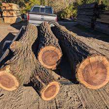 Walnut <b>Logs</b> for Paneling Walnut <b>Logs</b> for Custom Cutting Walnut <b>Logs</b> for Outdoor Furniture - Product Image 4