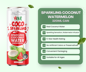 Eau de coco pétillante VINUT, réfrigérée, 320 ml, HALAL KOSHER, fabricant OEM ODM, étiquette privée, échantillon gratuit, potable, 24 mois - Product Image 3