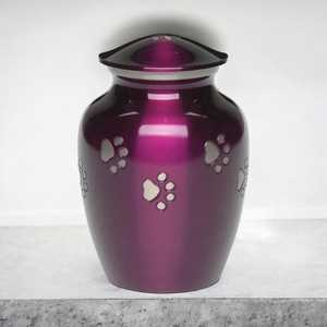 Urne classique en laiton pour animaux de compagnie avec des accents d'empreinte de patte d'or finition brillante métal commémoratif gravure personnalisée ailes d'ange petites urnes pour animaux de compagnie - Product Image 5