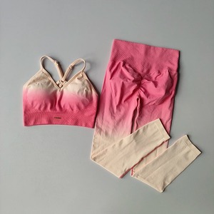 Women's High Waist Fitness Suit New Gradient Gym Set Beauty Back Bra Peach Hip Leggings Solid Pattern Front Logo-2Piece Yoga Set - Product Image 3