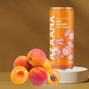 Té de Kombucha listo para beber de primera calidad El mejor concentrado de albaricoque y melocotón refrigerado OEM Refresco Origen de Vietnam - Product Image 4