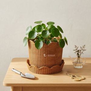 Juego de 2 Cestas de Ratán Artesanales con Borde Ondulado, Cubierta Decorativa Redonda para Macetas, Decoración Sostenible para el Hogar Estilo Boho Chic - Product Image 6