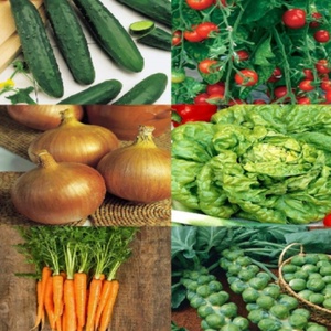 Kit <span class=keywords><strong>de</strong></span> 12 <span class=keywords><strong>variétés</strong></span> <span class=keywords><strong>de</strong></span> légumes à cultiver soi-même - Concombres, tomates, chou <span class=keywords><strong>de</strong></span> Bruxelles, pastèques, choux suisses, parsnips, idéal pour la culture au sol - Product Image 2