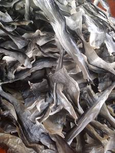 ผลิตภัณฑ์ยอดนิยม หนังปลาแห้ง หนังปลาปังกาเซียส สำหรับเป็นของว่าง - Product Image 2