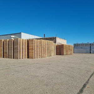 Paletas de madera de una cara ecológicas de alta calidad, la mejor paleta de madera a precios al por mayor para la venta - Product Image 5