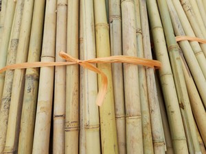 ไม้ไผ่ตกแต่งเสามอสแบบปรับแต่งได้สำหรับการสนับสนุนพืช - Product Image 5