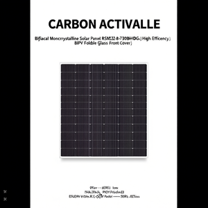 Panneau solaire monocristallin bifacial RSM132-8-730BHDG - Haute efficacité PERC BIPV avec couvercle avant en verre pliable - Product Image 2