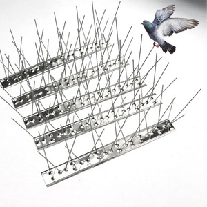 Pointes <span class=keywords><strong>anti</strong></span>-oiseaux en acier inoxydable 304 pour jardin et toit, durée de vie pratique de 10 ans - Product Image 1