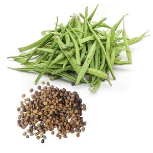 Compre Semillas de Guar / Frijoles de Racimo / Semillas de Guar Phali al Mejor Precio - Product Image 2