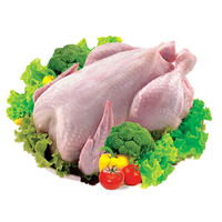 Pollo Entero Congelado Halal, Proceso BQF, Grado de Exportación, Empaque a Granel, Calidad Grado A, Vitaminas, Origen Brasil, 12 Meses de Vida Útil