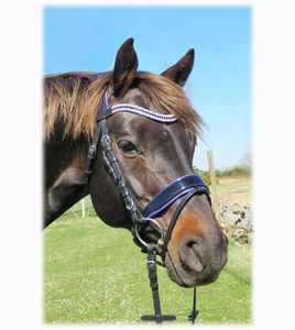 Bride anatomique FSS FREEWAY Glimmer PURPLE Crystal BLING Curve U CUT BACK AWAY - Product Image 1