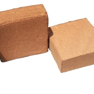 Bloc de tourbe de coco 100% naturel et biologique de 5 kg, dimensions 30*30*10/12 cm, faible EC et pH 5,5-6,5, humidité <15% pour une croissance idéale des plantes - Product Image 2