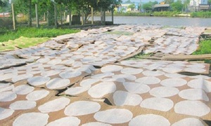 Top Export Ricepaper Vietnam Origin High Quality Whole Ricepaper for Sale Holiday - Product Image 6