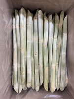 Caña de Azúcar Congelada Pre-cortada y Lavada LQF, 100% Fresca, Envasada al Vacío, Producto Natural de Vietnam para Uso Doméstico
