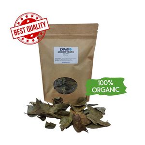 BIO PREMIUM QUALITÉ NATURELLE SAIN SOURSOP FEUILLES DE THÉ EN GROS MEILLEUR VENDEUR TOP 100G SAC SOUS VIDE DU VIETNAM - Product Image 2