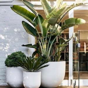 Glazed <b>Ceramic</b> <b>Flower</b> <b>Pot</b> Round Planter Textured Indoor Outdoor Garden Home Decor - Product Image 3